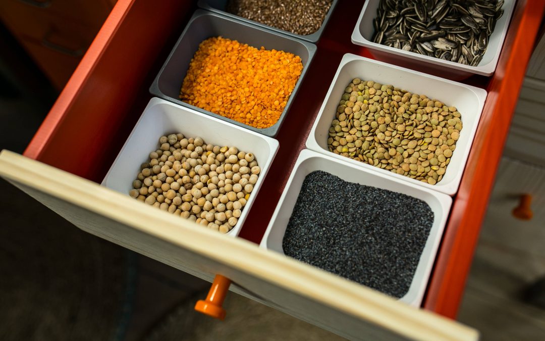 5 Quick Paleo Vegetarian Ways to Get Protein