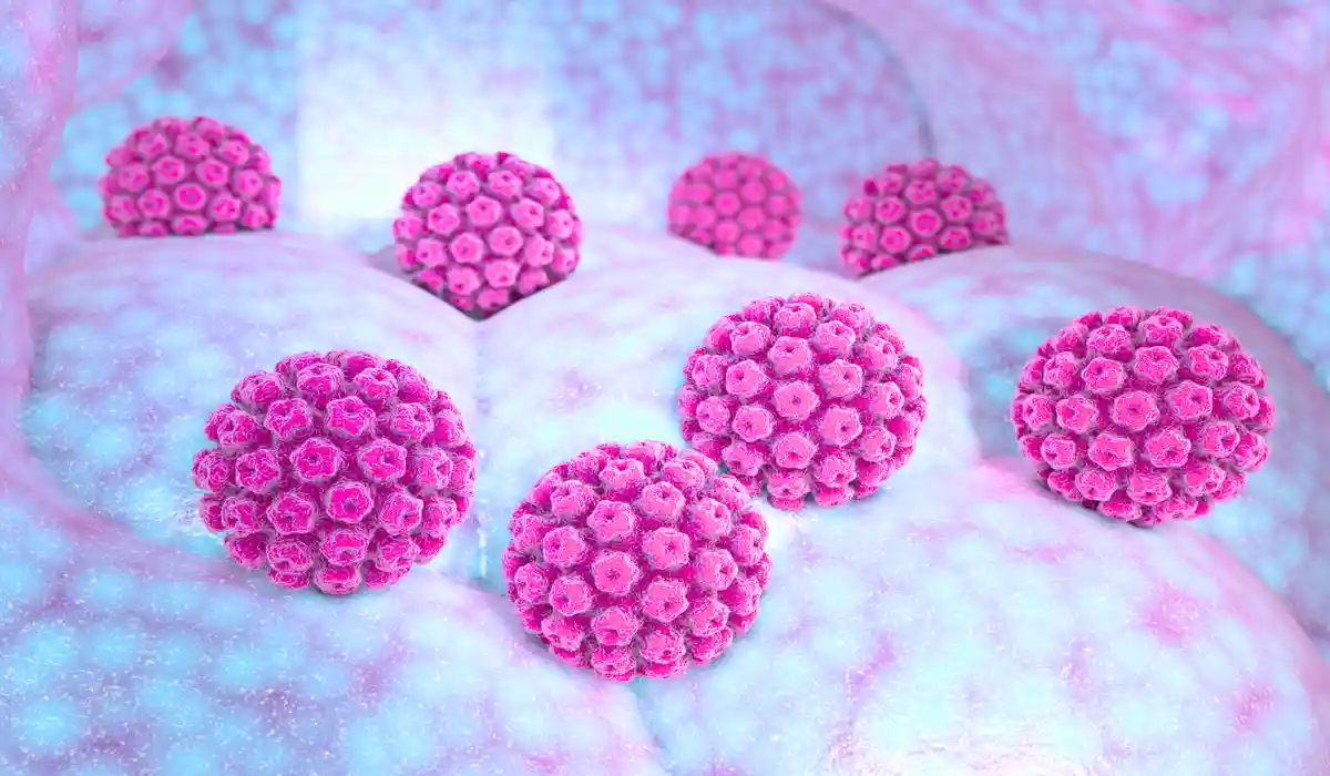 HPV Positive But 16 and 18 Negative: What This Cervical Test Means