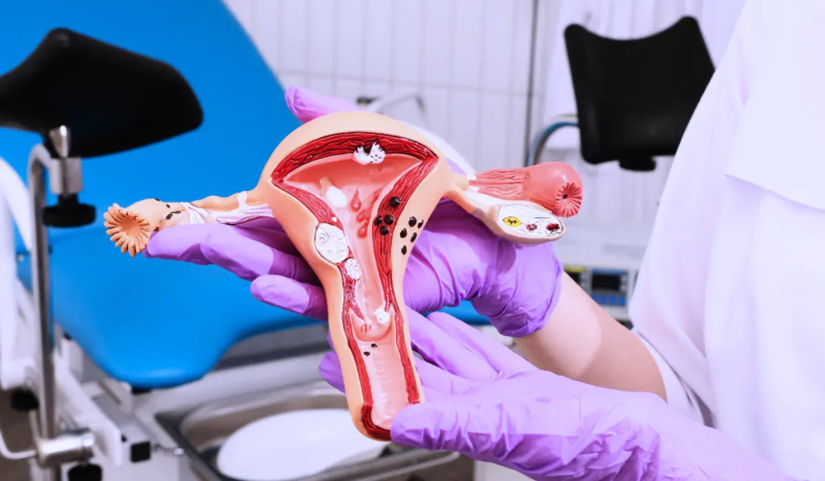 Pelvic Exam Vs Pap Smear: Differences, Procedures, and Frequency