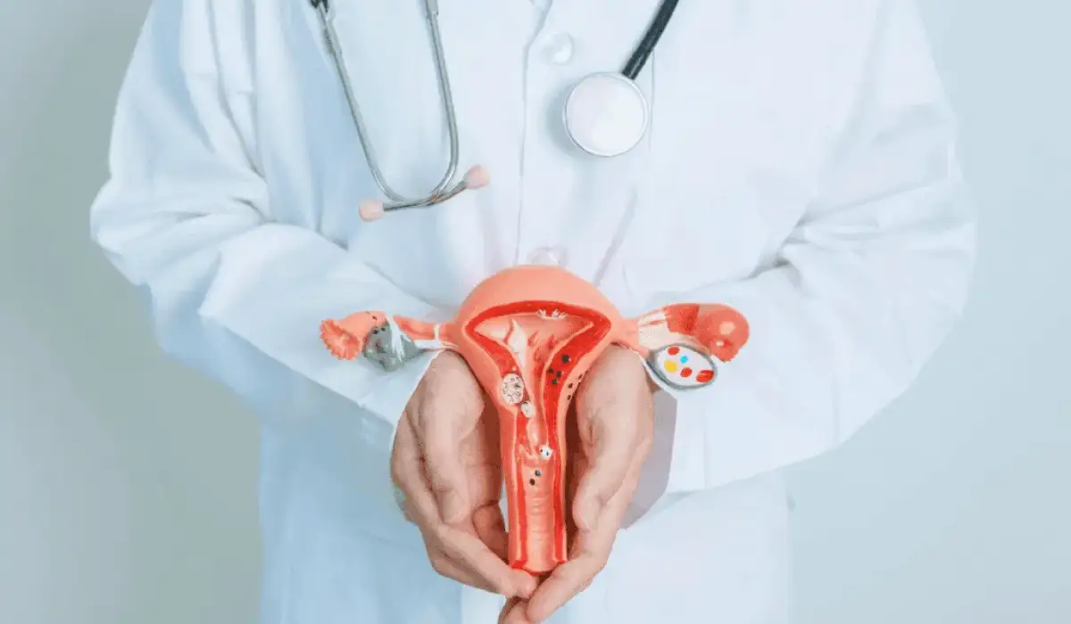 Enlarged Uterus Symptoms: Bleeding, Pelvic Pressure, And Causes