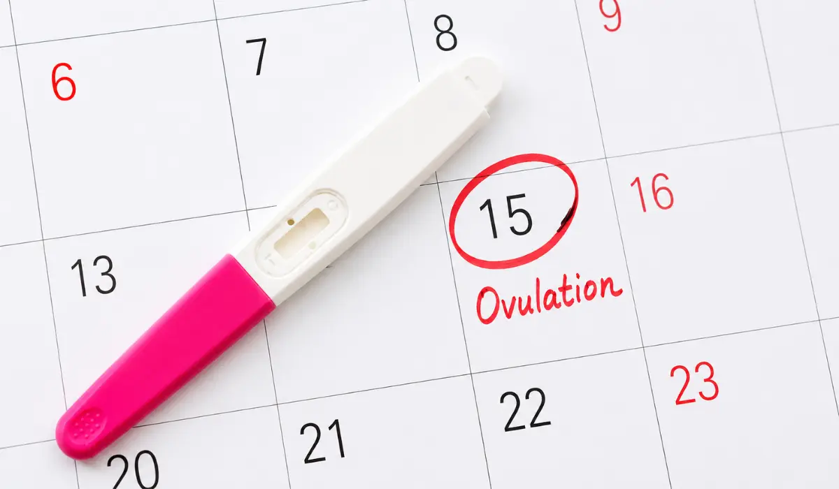 How To Track Ovulation With PCOS: Cycle Signs, Tests, And Fertility Tips